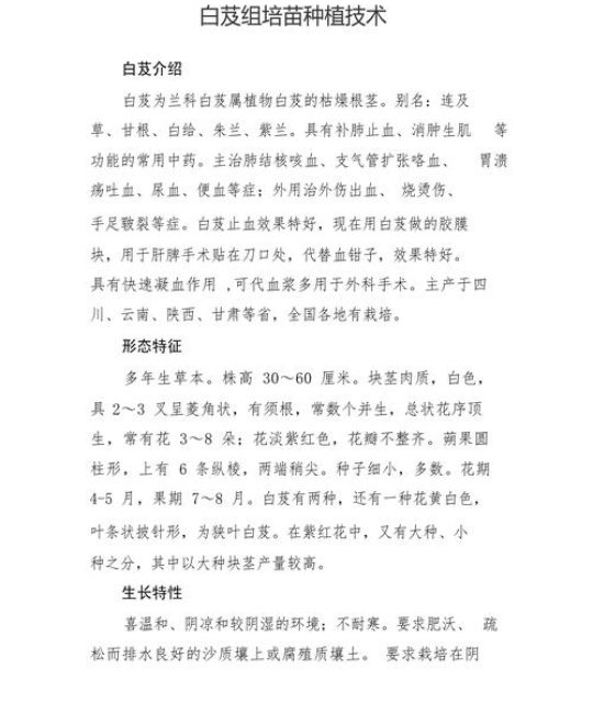 白芨种子育苗全攻略：从无菌播种到幼苗移栽的精确技术指南
