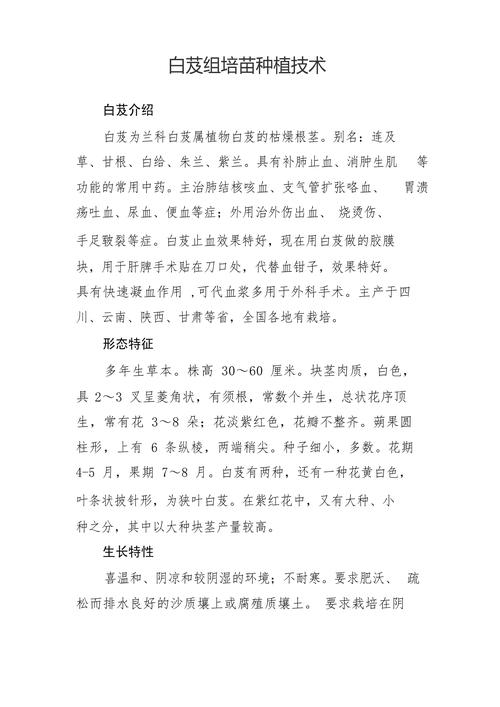 白芨种子育苗全攻略:从无菌播种到幼苗移栽的精确技术指南 为什么白芨种子育苗与众不同?