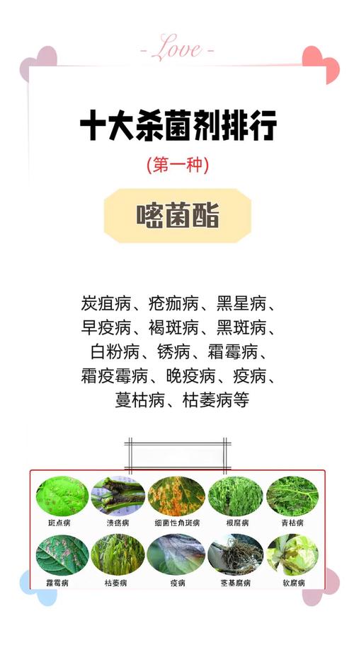 育苗基质杀菌剂全解析:科学选择与精准用法 二、不同育苗方式的差异化用药方案
