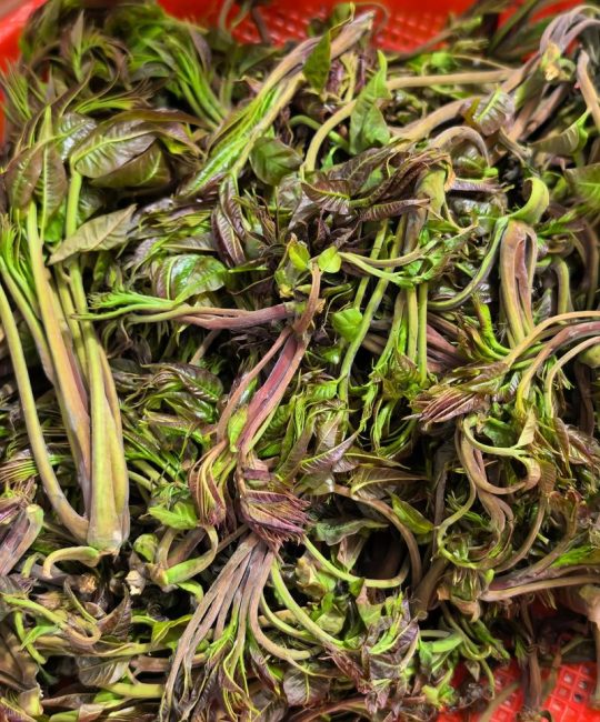 香椿芽的营养价值与食用指南：春季“菜王”怎么吃才健康