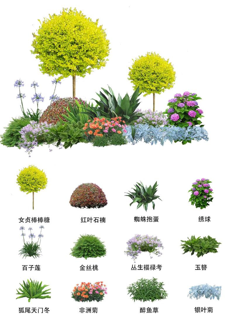 综合养护提示