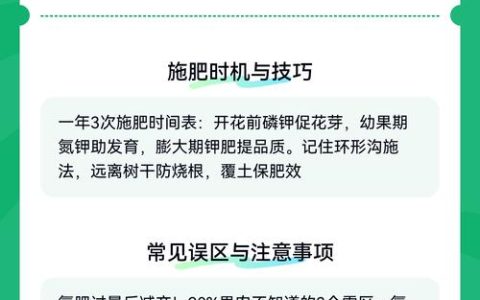 龙眼树施什么肥料最好？2026年科学施肥全攻略
