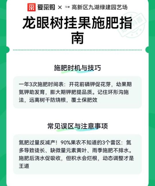 龙眼树施什么肥料最好？2026年科学施肥全攻略