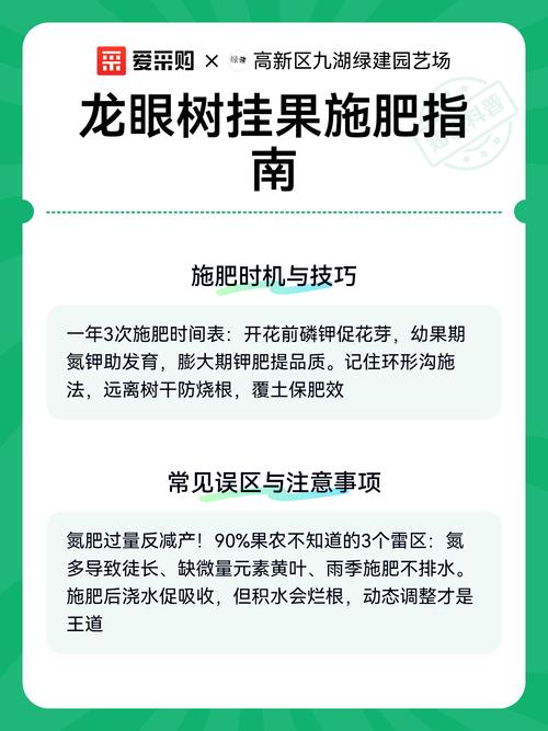 龙眼树施什么肥料最好？2026年科学施肥全攻略