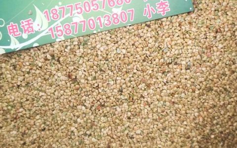 草种子在哪里有卖？资深采购专家的科学选购与核查指南