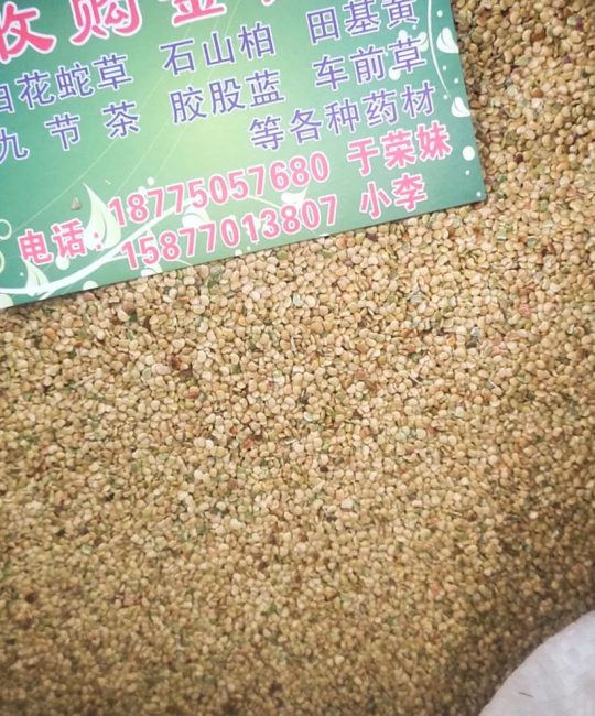草种子在哪里有卖？资深采购专家的科学选购与核查指南