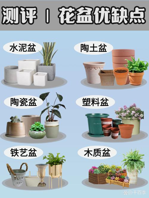 绿植花盆多少钱?2025年最新价格参考与影响因素分析 规格与材质:价格的核心决定因素