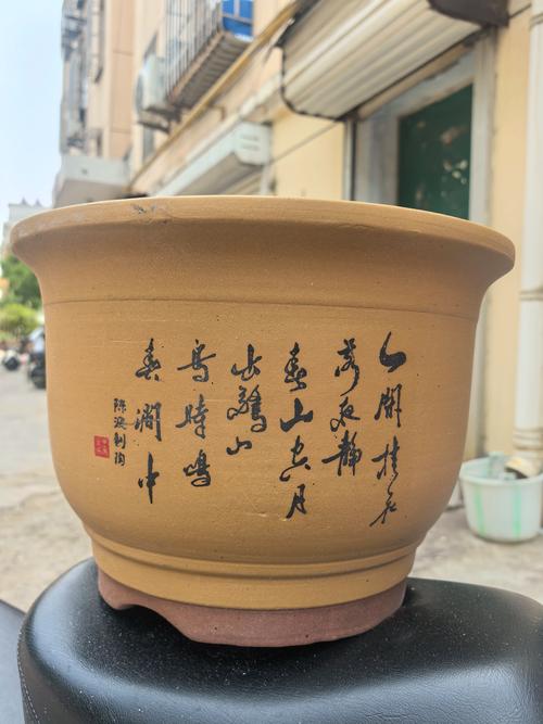 绿植花盆多少钱?2025年最新价格参考与影响因素分析 产地:决定基础成本和物流门槛