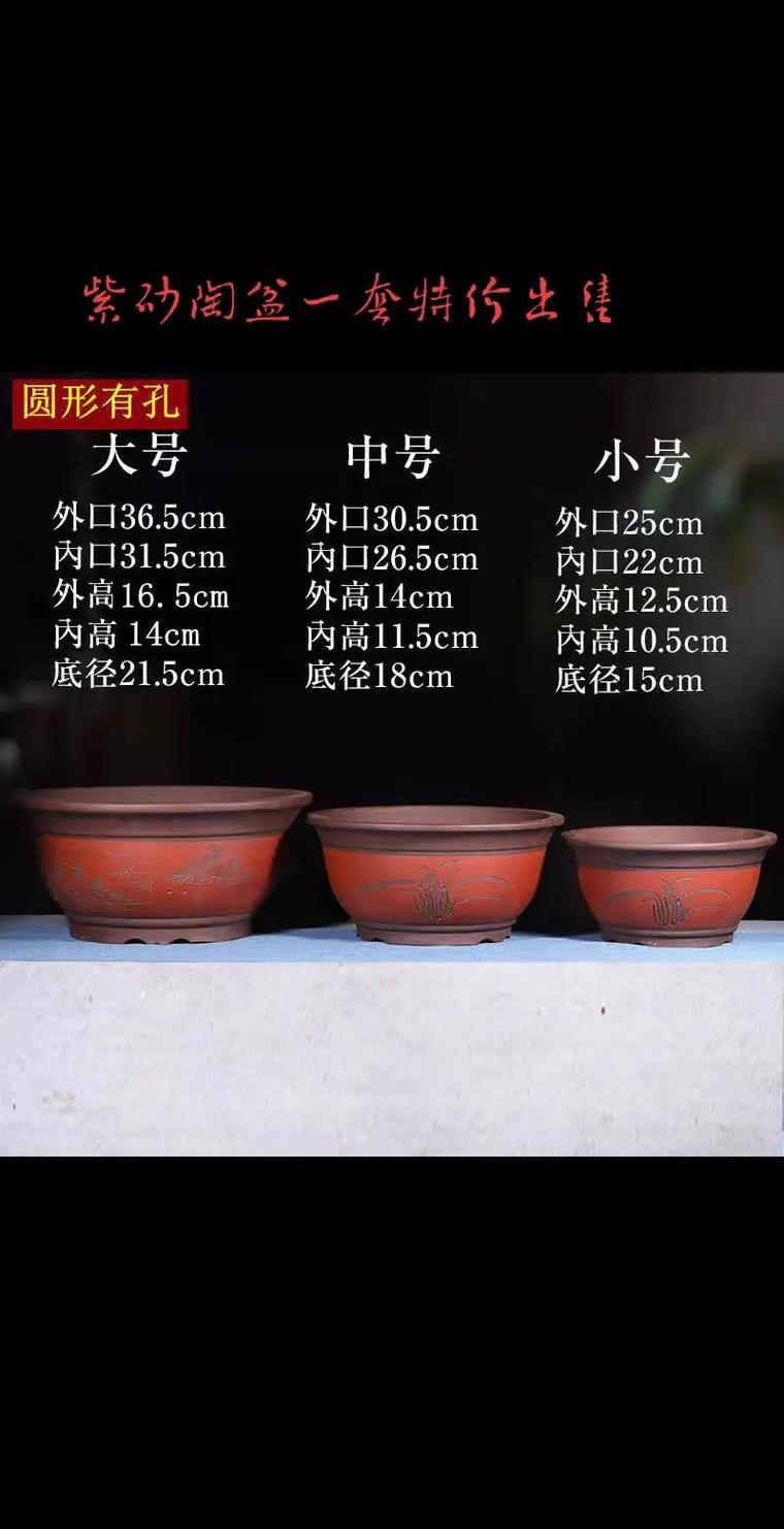 绿植花盆多少钱?2025年最新价格参考与影响因素分析 咨询指南:如何获取精准报价?