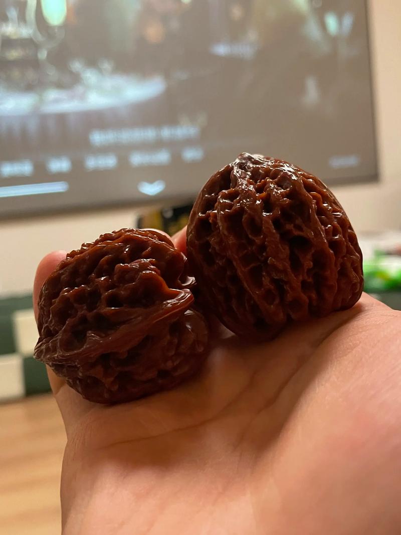 形态特征：一眼认出“野牛”核桃