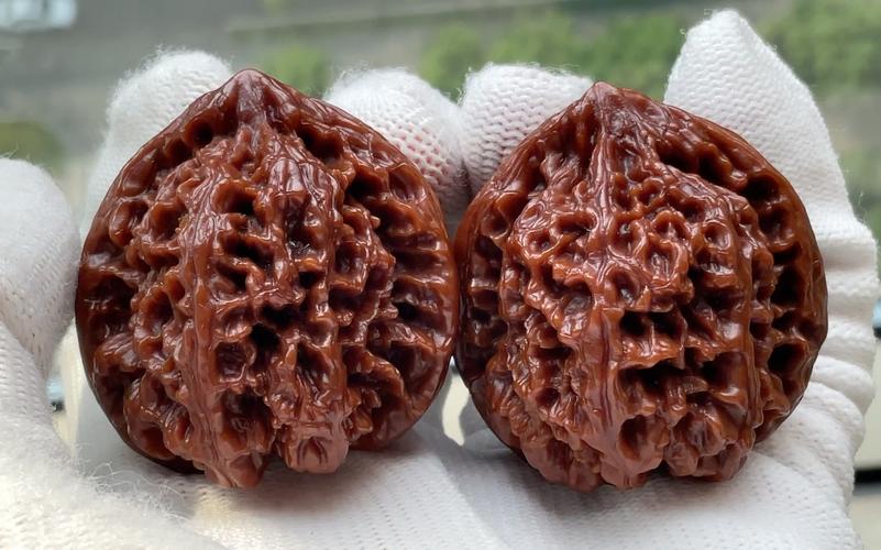 “野牛”核桃好盘吗？值不值得入手？