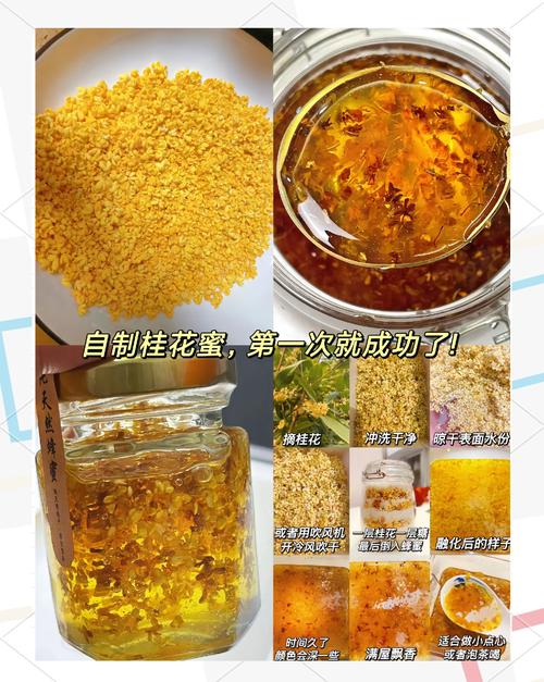 干桂花怎么做成桂花蜜?手把手教你留住秋日香甜 做法三:干桂花快速版(煮糖浆法)