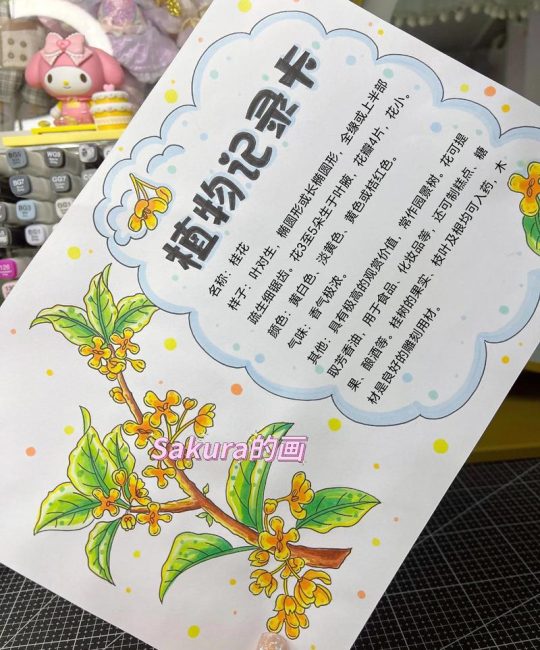 桂花冬季落叶子吗？一篇详尽的生长习性与养护指南