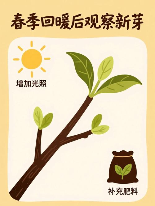 四、土壤要求