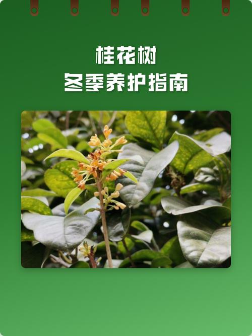 总结