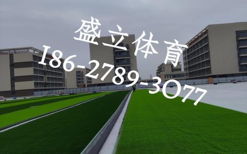 人造草坪生产厂家如何选择？选购指南与质量标准解析