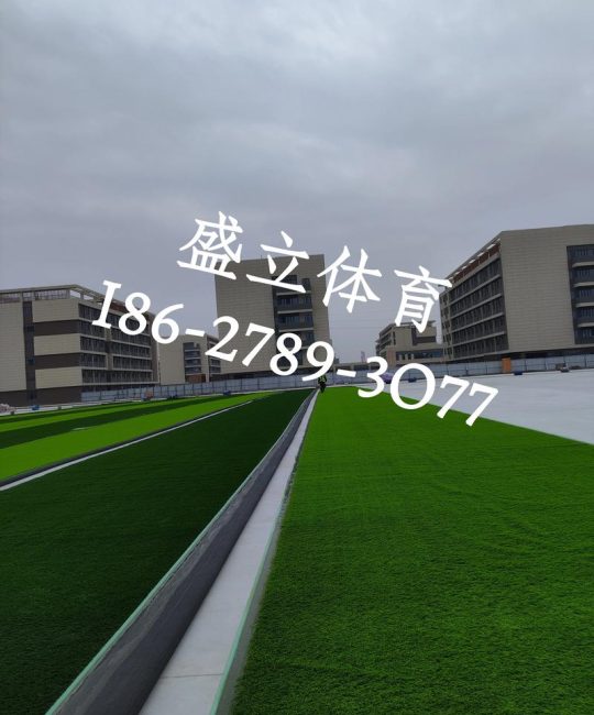 人造草坪生产厂家如何选择？选购指南与质量标准解析