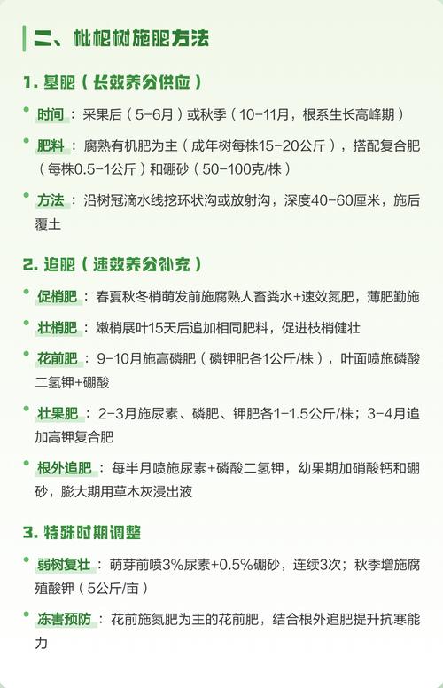 枇杷施肥最佳时间及全周期养护指南：从花芽分化到果实膨大