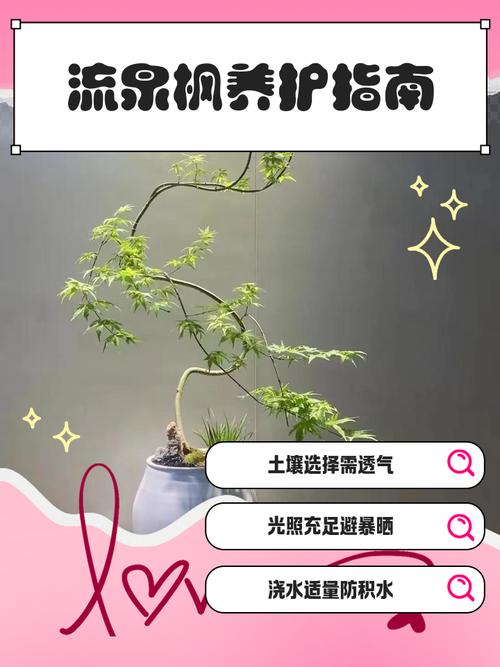 总结