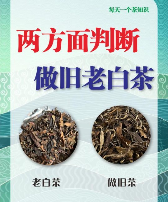 老白茶属于红茶还是绿茶？权威分类与区别解析