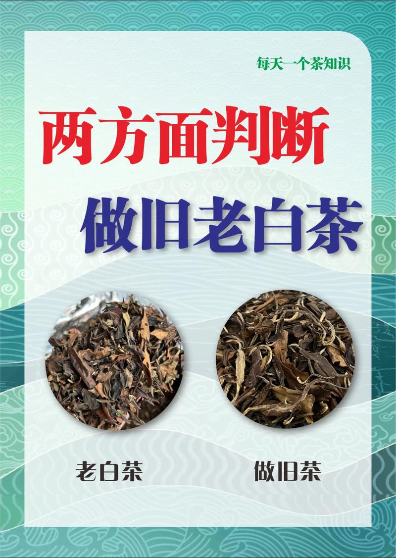 老白茶属于红茶还是绿茶？权威分类与区别解析