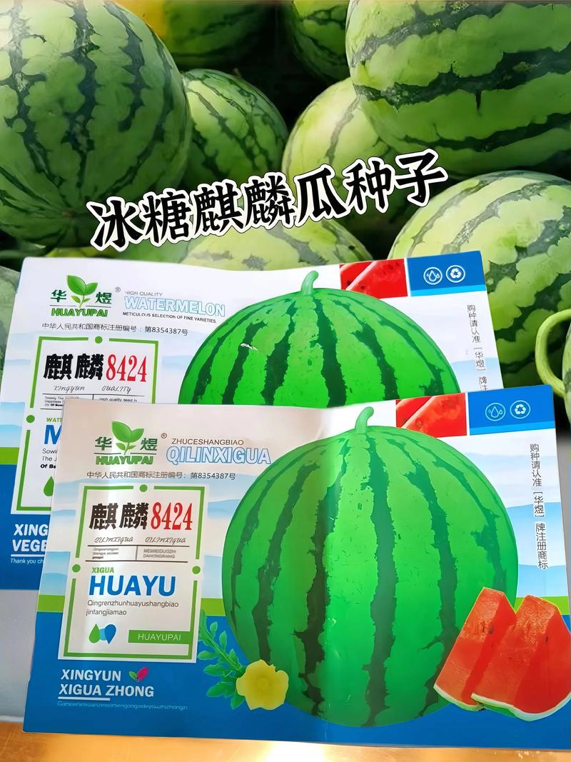 西瓜籽的园艺价值