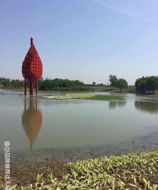 水生植物浮岛多少钱？2026年价格参考与五大影响因素详解