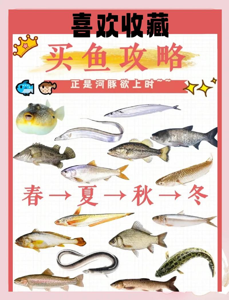 科学选购鱼苗:如何辨别优质供应商与避免采购陷阱? 第二步:品种真实性核查与规格匹配度分析