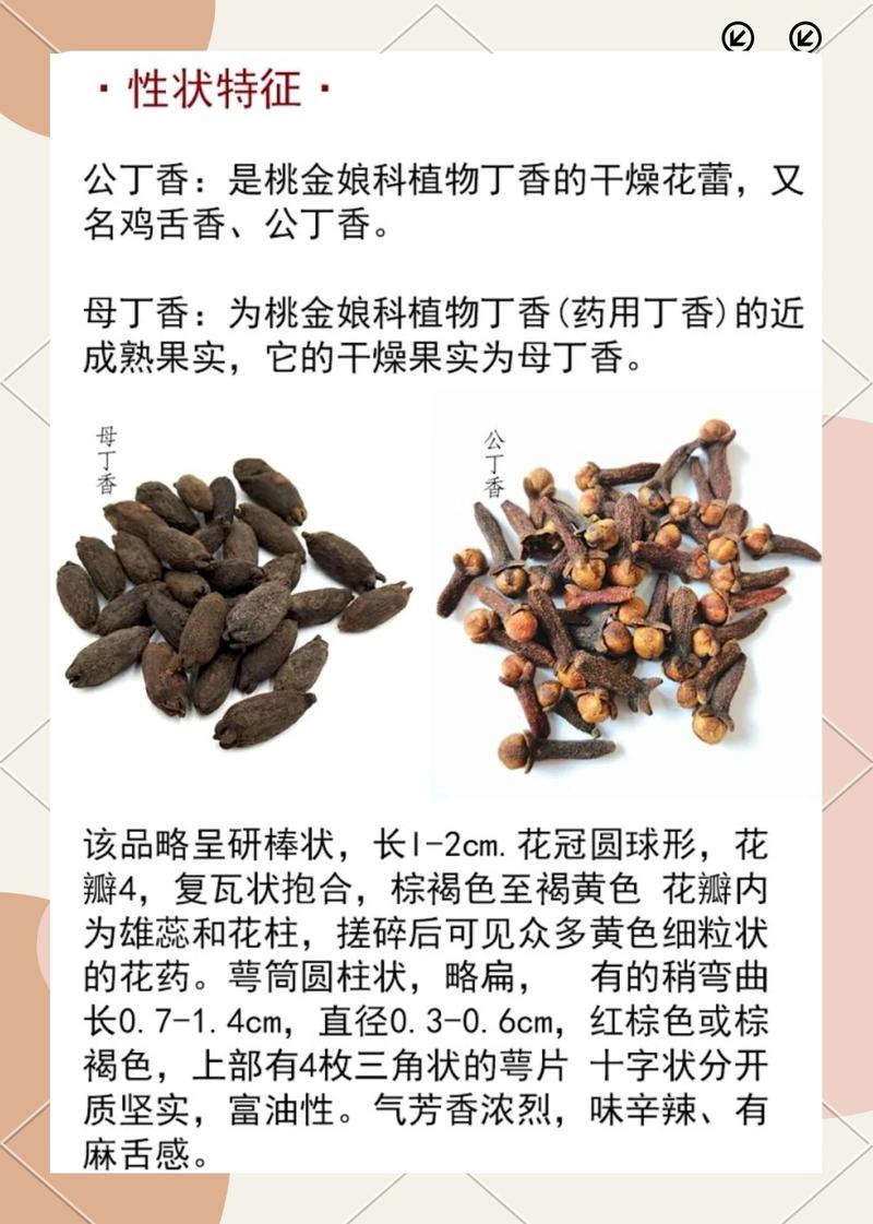 丁香树苗采购指南:如何避开虚假渠道,买到纯正品种 总结:你的采购行动清单