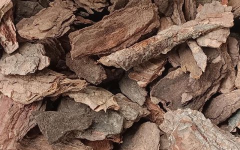 松树皮价格是多少？规格、产地、采购量如何影响报价