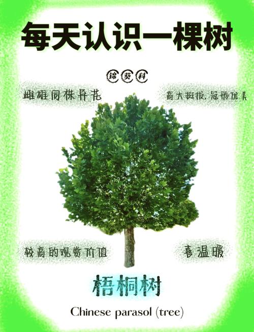 光照与水分需求：量化标准