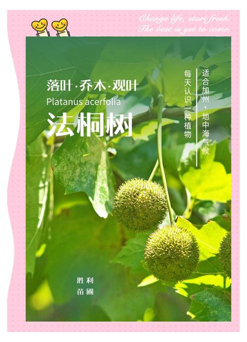 耐寒耐热评估：USDA分区与极限温度