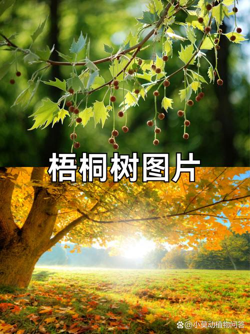 总结