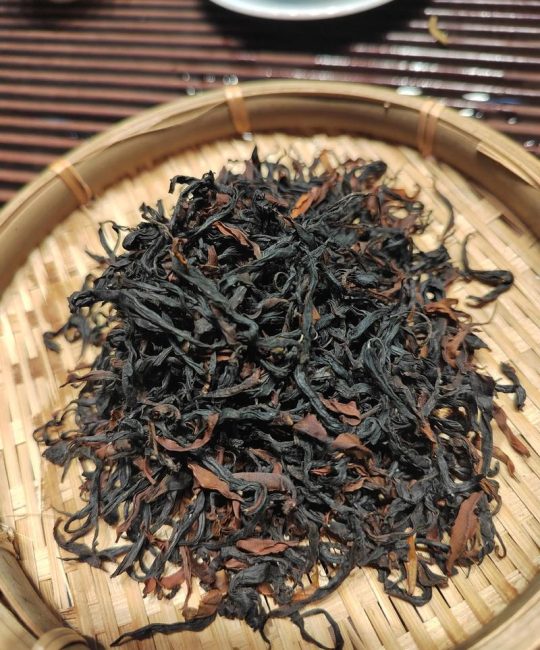 红茶古树茶有什么特点？从植物学角度解析古老茶树的独特魅力