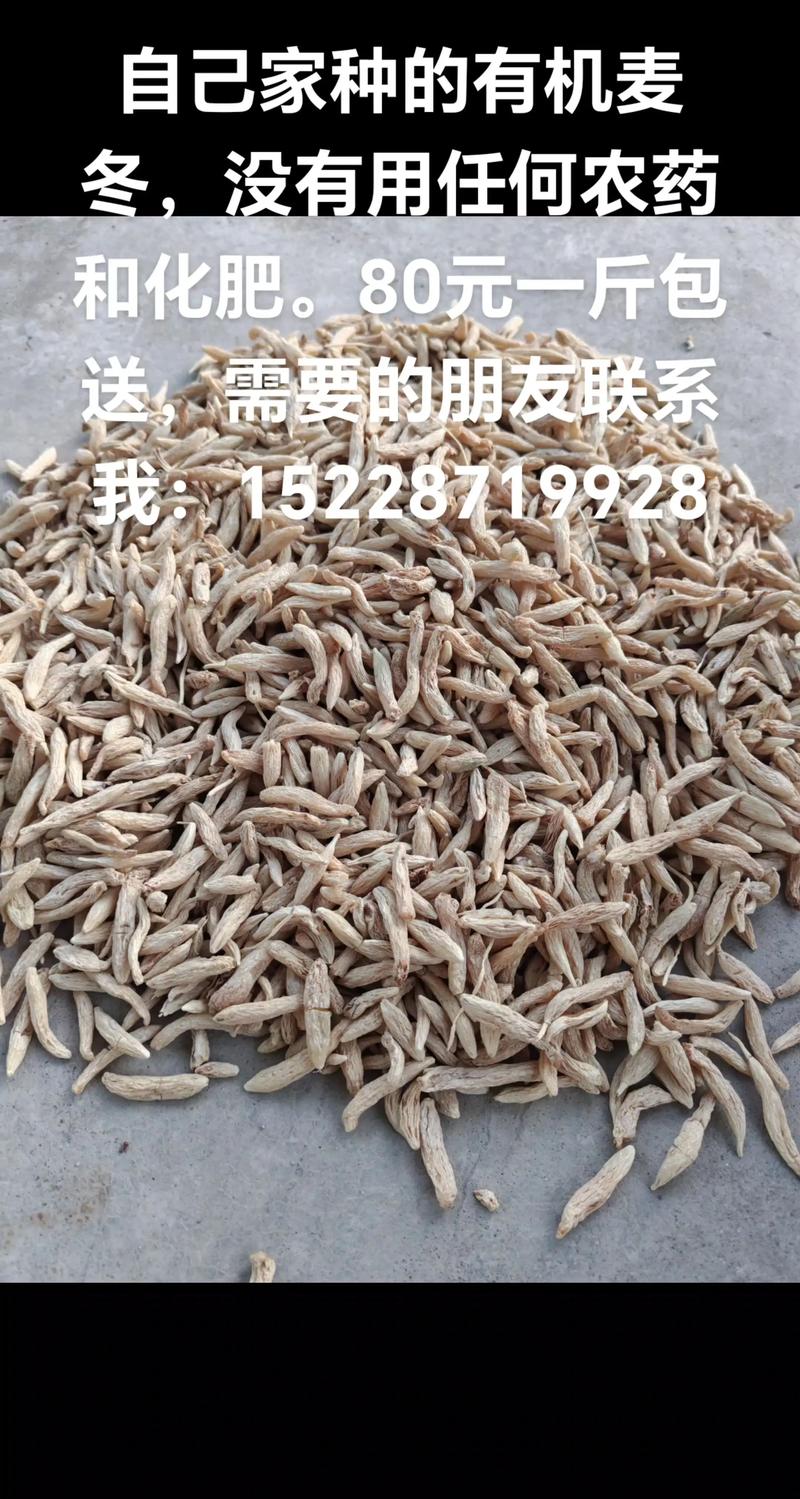 麦冬多少钱一斤2025年价格?产地、规格与季节影响报价 麦冬多少钱一斤2025年价格?产地、规格与季节影响报价