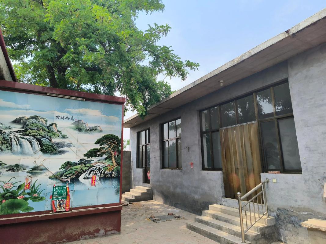 大门口左边种一棵家槐树好吗?庭院地栽槐树的规格、养护与安全须知 庭院地栽规格选型与安全间距