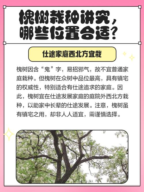 大门口左边种一棵家槐树好吗?庭院地栽槐树的规格、养护与安全须知 FAQ