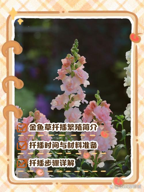 金鱼草繁殖全指南:播种与扦插的品种差异化操作要点 五、失败诊断速查