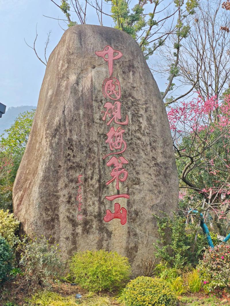 影响花期的三大关键因素