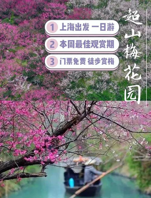 赏梅小贴士