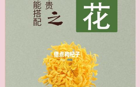 菊花存放了6年还能用吗？种子与干花的保存年限与活性检测全指南