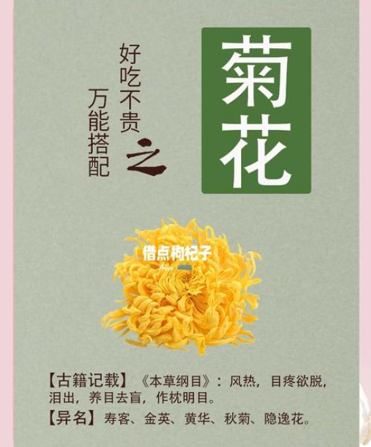 菊花存放了6年还能用吗？种子与干花的保存年限与活性检测全指南