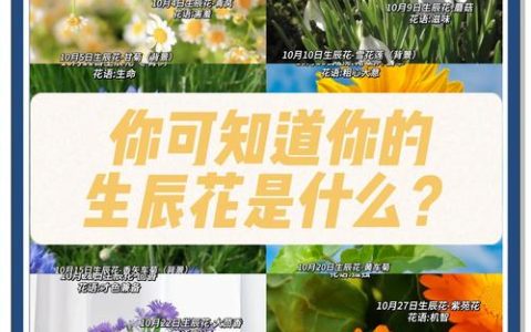 梦到种花草是什么意思？周公解梦带你解析梦境中的植物密码