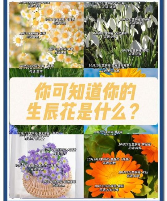 梦到种花草是什么意思？周公解梦带你解析梦境中的植物密码