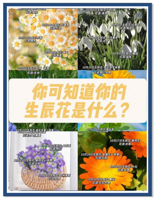 梦到种花草是什么意思？周公解梦带你解析梦境中的植物密码