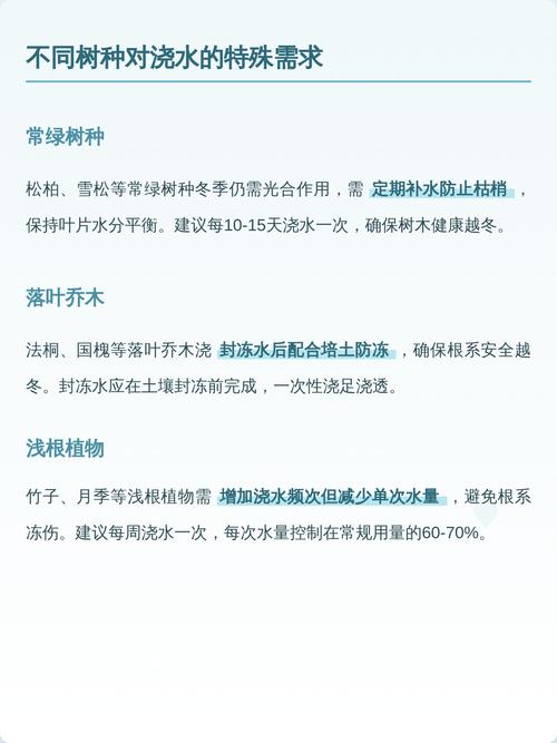 冬天刚移栽的植物浇水指南 光照:移栽后,光照要“温和”而非“强势”