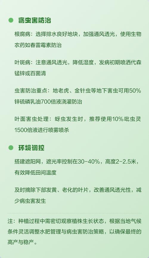 白芨种植技术指南:从选时到成活的完整步骤 缓苗管理