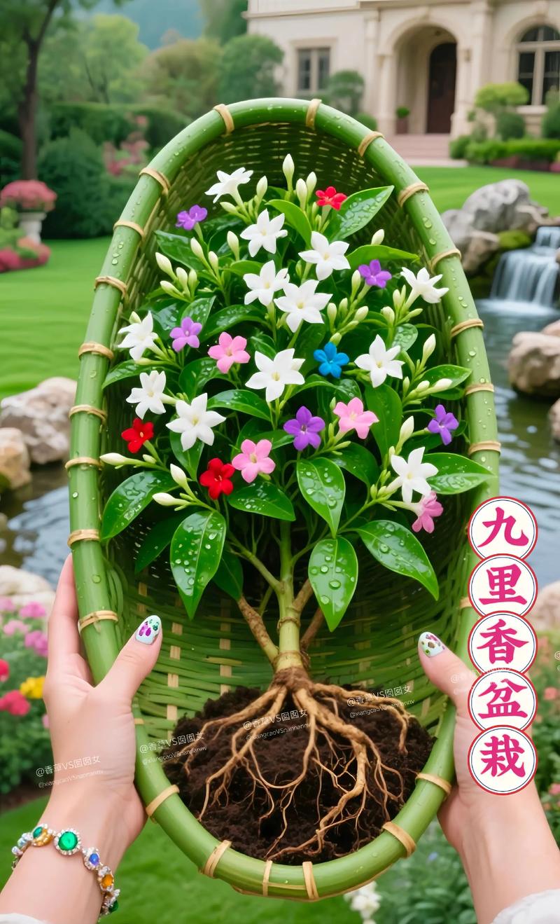 总结