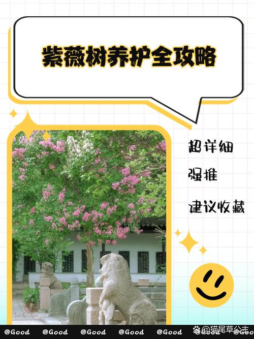 紫薇树什么人压不住?科学养护全攻略 盆栽与地栽选择决策