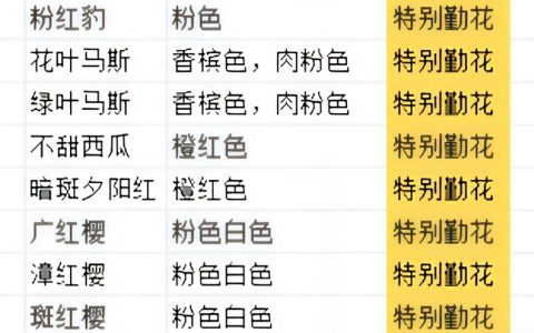 红宝石三角梅勤花吗？揭秘它的开花习性与养护诀窍
